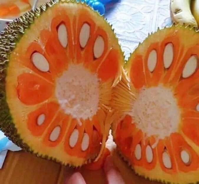 Hơn nữa, số lượng mít ruột đỏ Indo trồng chưa nhiều nên cung không đáp ứng được cầu. Ảnh: Facebook