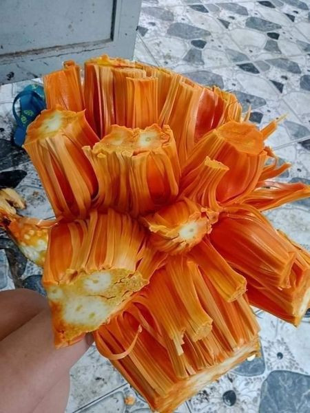 Trong đó, mít ruột đỏ Indo xơ vàng luôn có giá cao nhất. Ảnh: Facebook