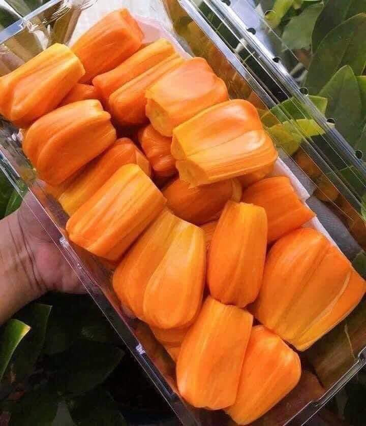 Trên thị trường, mít ruột đỏ Indo đang được rao bán với giá nguyên quả là 130.000 đồng/kg, nếu tách múi đóng hộp giá gần 300.000 đồng/kg. Ảnh: Facebook