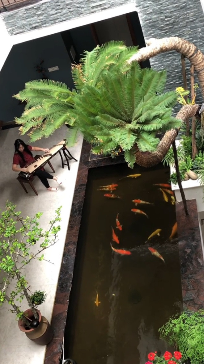 Trong clip con gái đánh đàn mới đây, ca sĩ Trọng Tấn vô tình hé lộ không gian sống thơ mộng trong khuôn viên nhà. Xung quanh hồ cá có nhiều cây xanh và hoa giúp khung cảnh thêm lãng mạn.