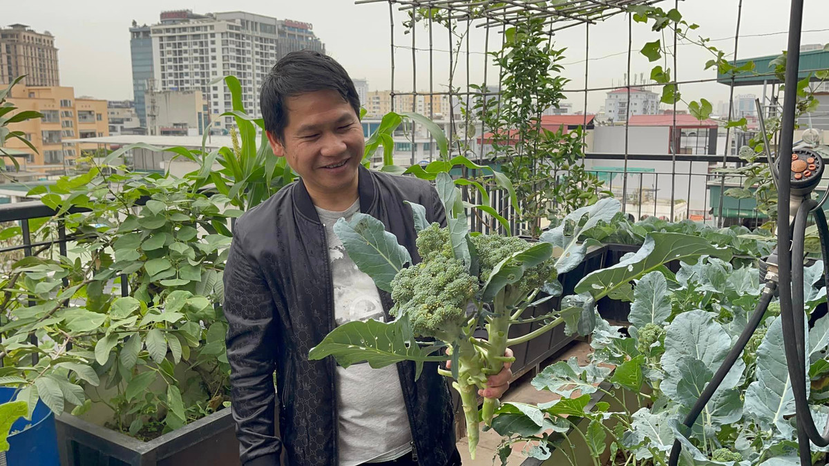 Nam ca sĩ khoe súp lơ hái trong vườn nhà.