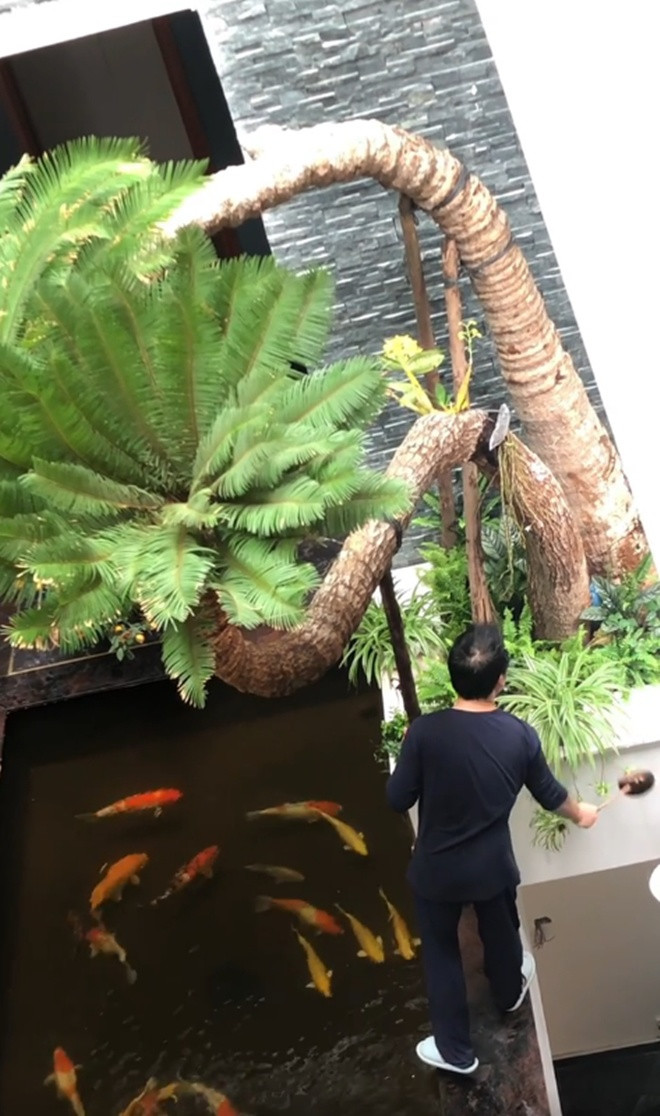 Gia đình Trọng Tấn - Thanh Hoa đang sống trong ngôi nhà 4 tầng rộng hơn 100m2 tại Hà Nội. Trong nhà, nam ca sĩ thiết kế hồ cá Koi, trồng nhiều loại cây cảnh, hoa trái và rau trên sân thượng.