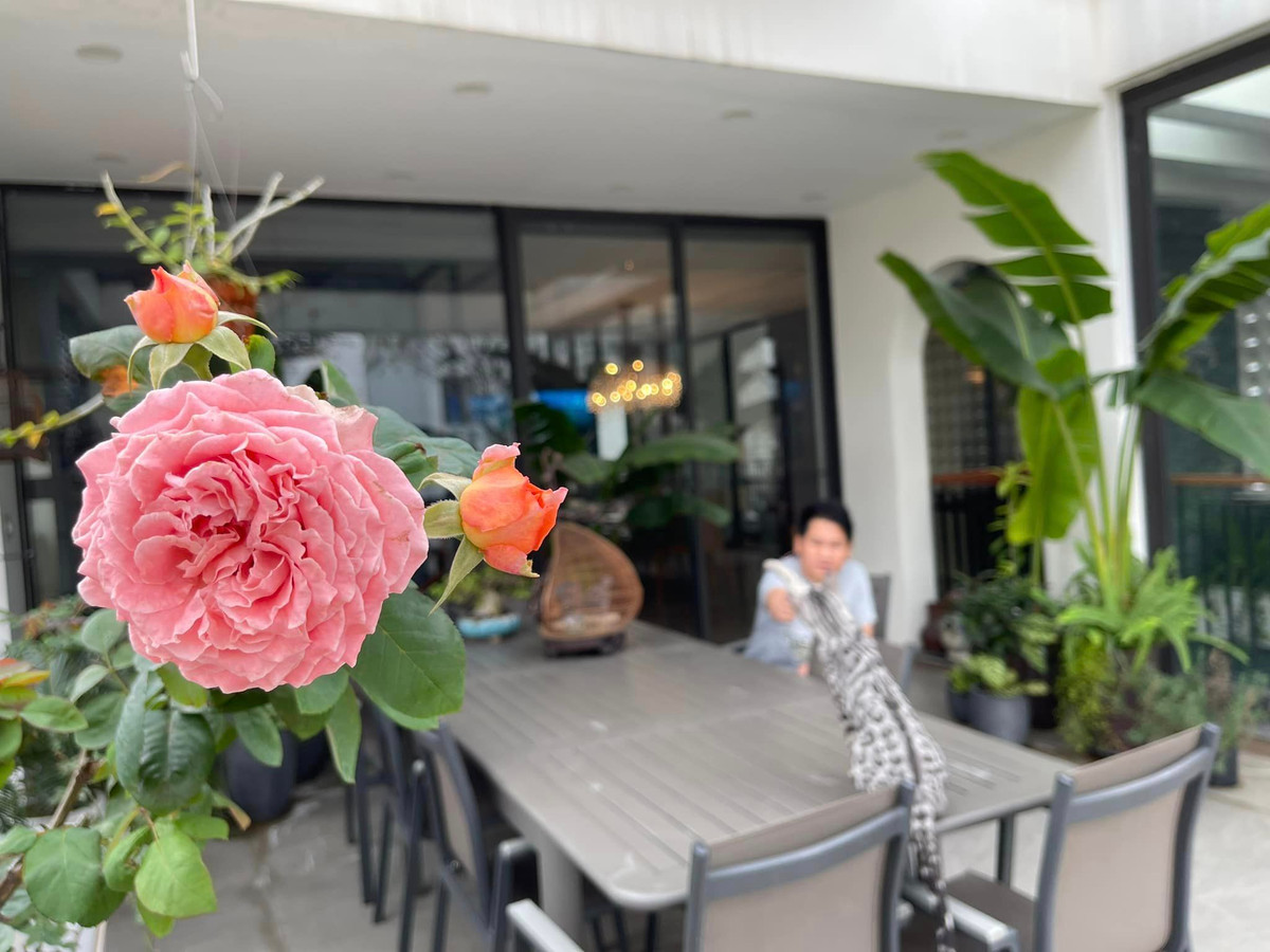 Ca sĩ Trọng Tấn cũng rất yêu hoa. Anh tô điểm không gian sống bằng nhiều loại hoa khác nhau.