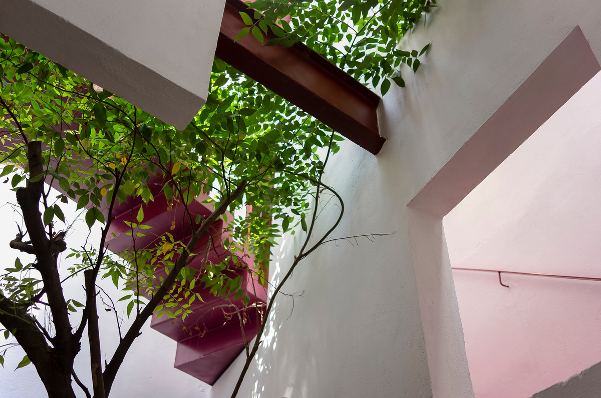 Mảng xanh ở khắp nơi như bếp, dưới giếng trời giúp mang nắng, gió và thiên nhiên đến khắp nhà.