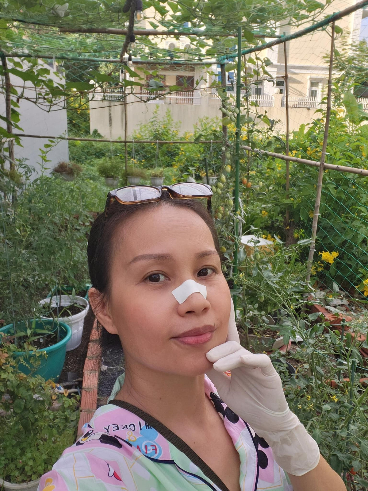 Các loại rau trong vườn xanh non mơn mởn.