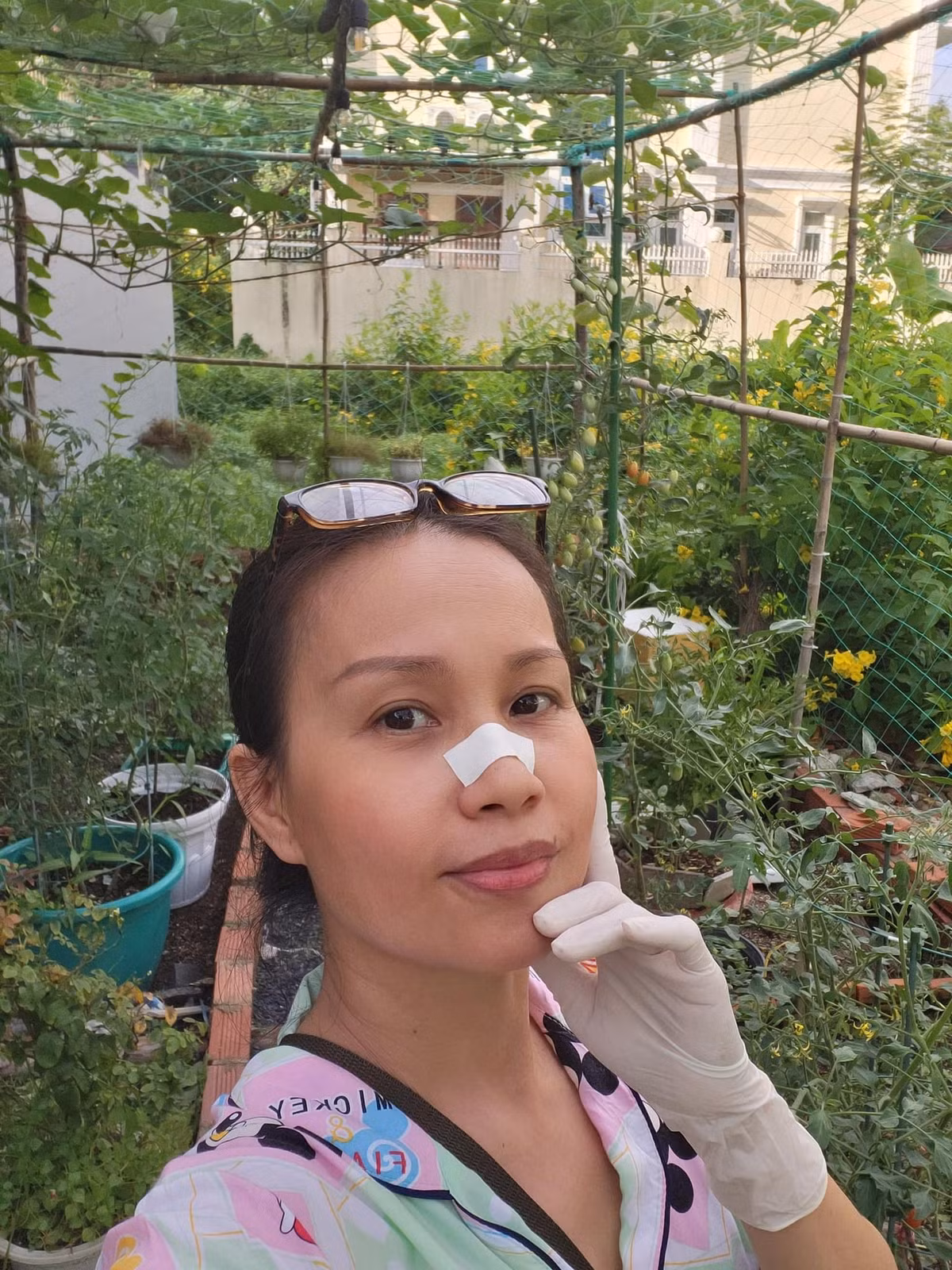 Các loại rau trong vườn xanh non mơn mởn.