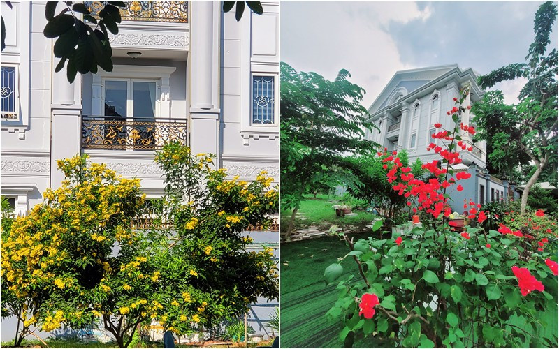 Giọng ca "Chim trắng mồ côi" trồng nhiều loại hoa rất đẹp.