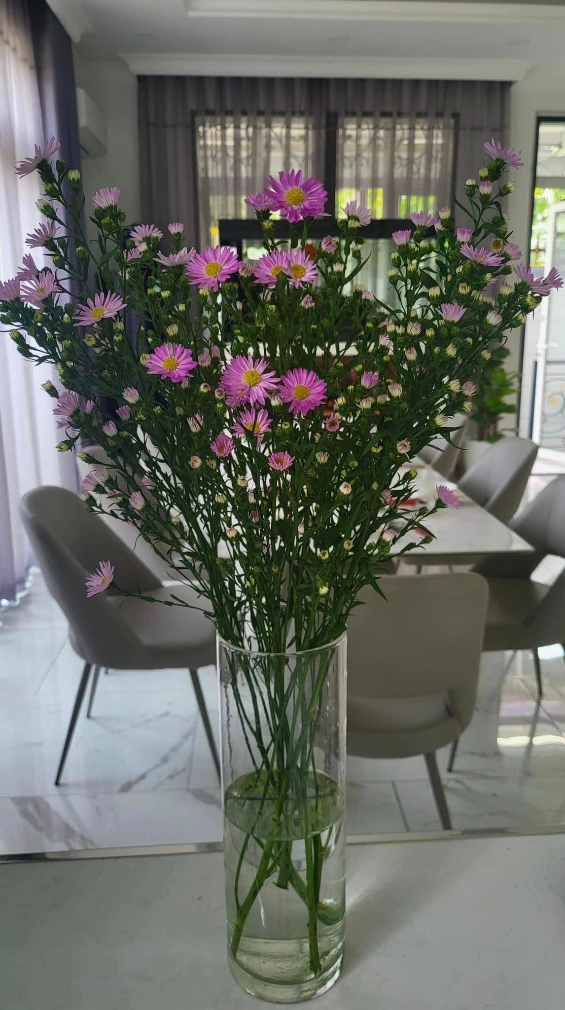 Một góc khác trong nhà của Cẩm Ly. Nguồn ảnh: FBNV