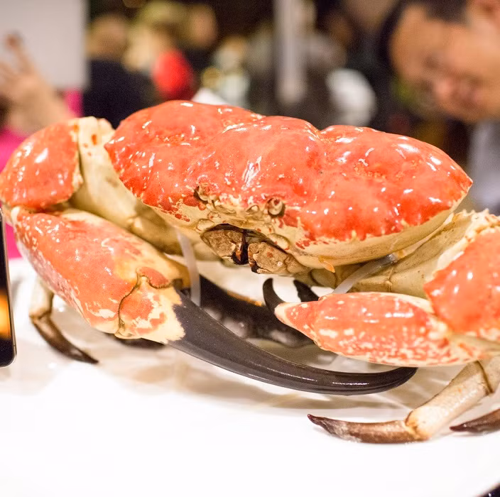 Hơn nữa, cua Tasmania khổng lồ khá hiếm trên thế giới nên muốn nhập cũng không dễ. Ảnh: Haisanphuongnam