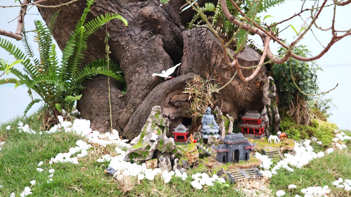 Cây đào cổ thụ có tên gọi cây tam đa (gồm 3 nhánh) tượng trưng cho Phúc - Lộc - Thọ có giá cho thuê (bao gồm cả vận chuyển) lên tới 130 triệu đồng. Ảnh: Lao động