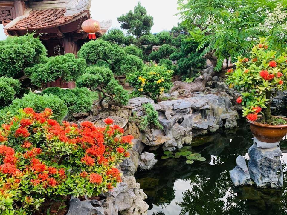 Ngoài ra còn bố trí nhiều cây kiểng, bonsai tạo cảnh quan đẹp mắt. Ảnh: Happynest