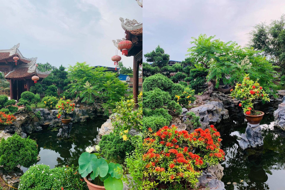 Khuôn viên sân vườn rộng rãi, được "phủ xanh" bởi nhiều cây bóng mát. Ảnh: Happynest