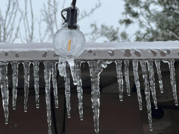 Mọi thứ trong vườn nhà đều đóng băng.