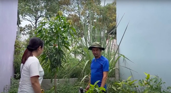 Trong nhà còn có một mảnh vườn nhỏ để trồng các loại rau. Ảnh: chụp màn hình