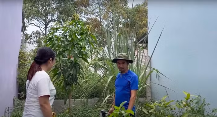 Trong nhà còn có một mảnh vườn nhỏ để trồng các loại rau. Ảnh: chụp màn hình