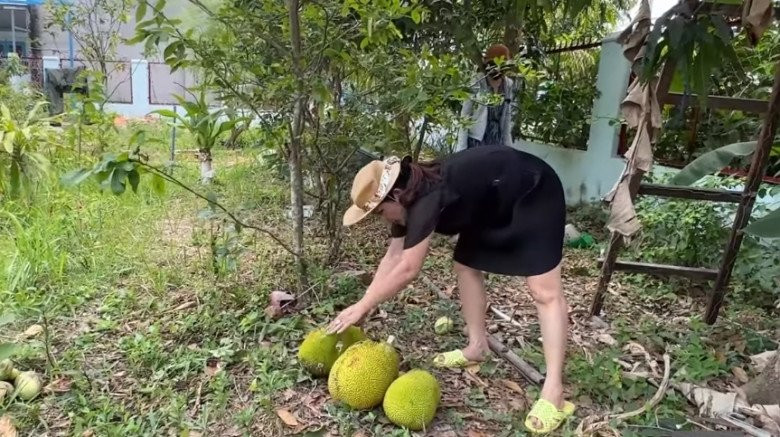 Ngoài xoài, bố MC Cát Tường còn trồng nhiều loại cây ăn quả khác như ổi, mít, chuối, dừa...