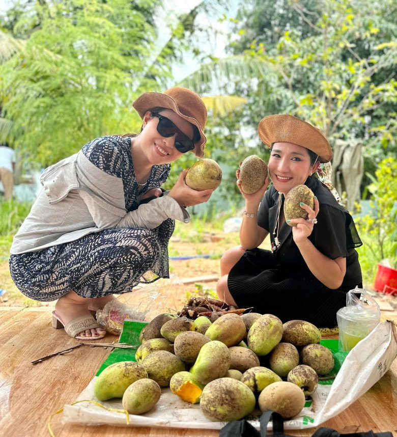 Khu vườn nhà MC Cát Tường có rất nhiều xoài. Mỗi lần nữ MC và con gái về đều hái hàng bao.