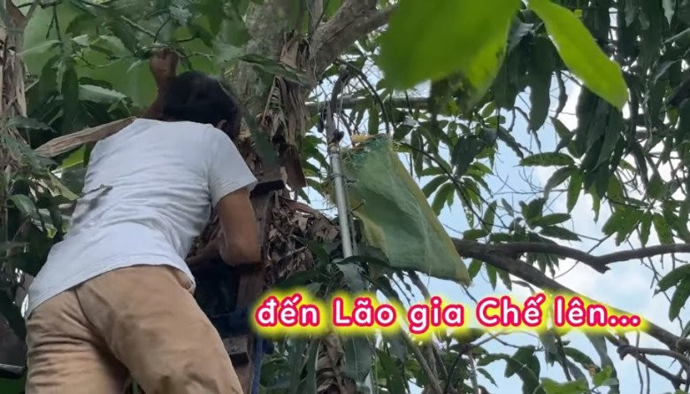 Gia đình MC Cát Tường sống ở Vĩnh Long, có nhà riêng thờ tự ông bà. Bố cựu "bà mối" Bạn muốn hẹn hò sống ở nhà này là chính.