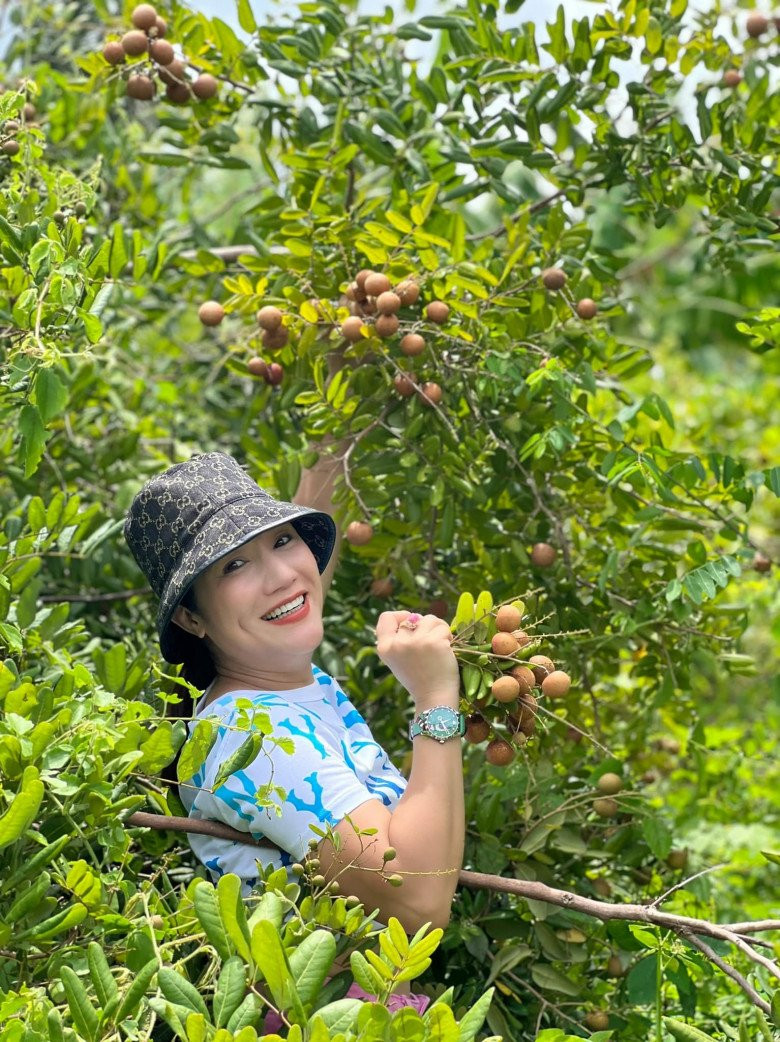 Cây ăn quả tại đây được gia đình MC Cát Tường trồng để ăn và tặng bạn bè, không kinh doanh.