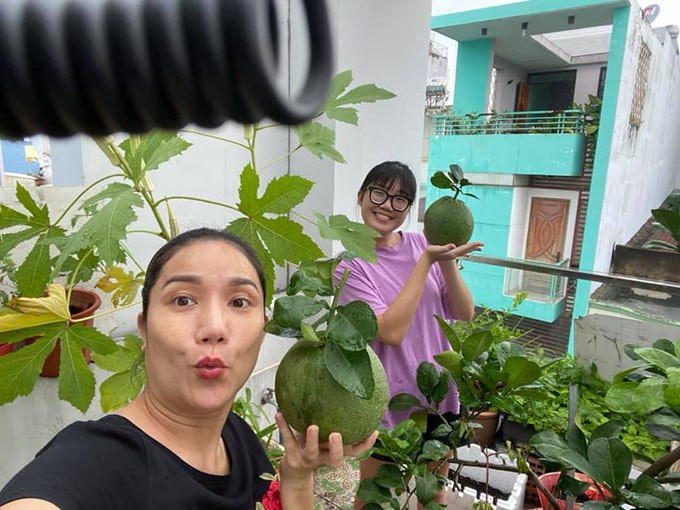 Cát Tường trồng đủ các loại cây trái như bưởi, mướp, đu đủ, rau thơm.... Nguồn ảnh: chụp màn hình, FBNV