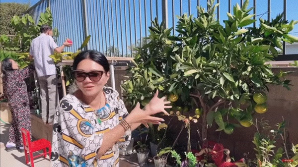 Phía sau nhà Ngọc Huyền là khu vườn rộng trồng đủ các loại cây ăn quả như bưởi, cam, quýt, thanh long, chanh… Ảnh: chụp màn hình Youtube