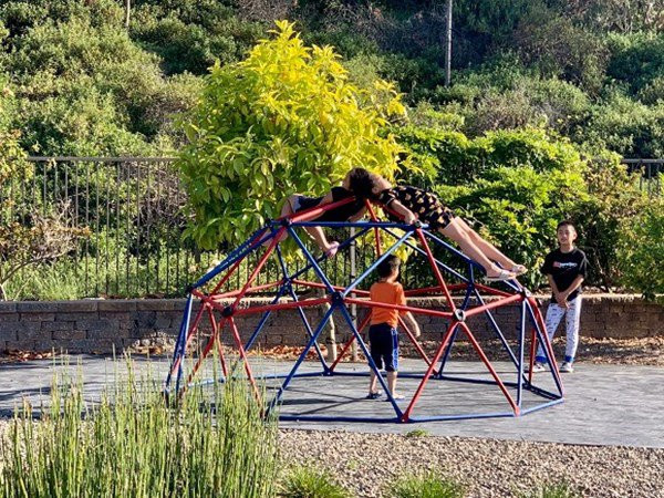 Không gian rộng lớn trong vườn nhà là khu vui chơi của các con Diệu Hương. Ảnh: FBNV