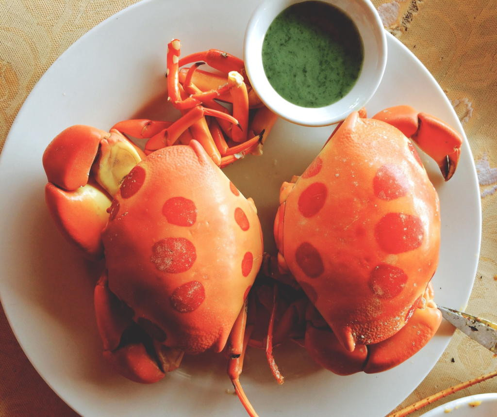 Loại cua này hiện có giá từ 500.000-600.000 đồng/kg do ngày càng trở nên khan hiếm. Ảnh: Taucaotoc