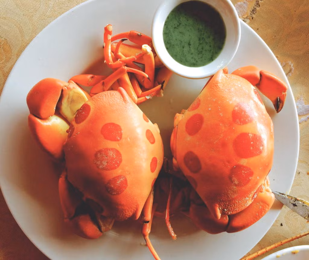 Loại cua này hiện có giá từ 500.000-600.000 đồng/kg do ngày càng trở nên khan hiếm. Ảnh: Taucaotoc