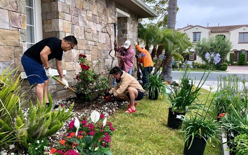 Xung quanh nhà, Đàm Vĩnh Hưng còn trồng nhiều loại hoa.