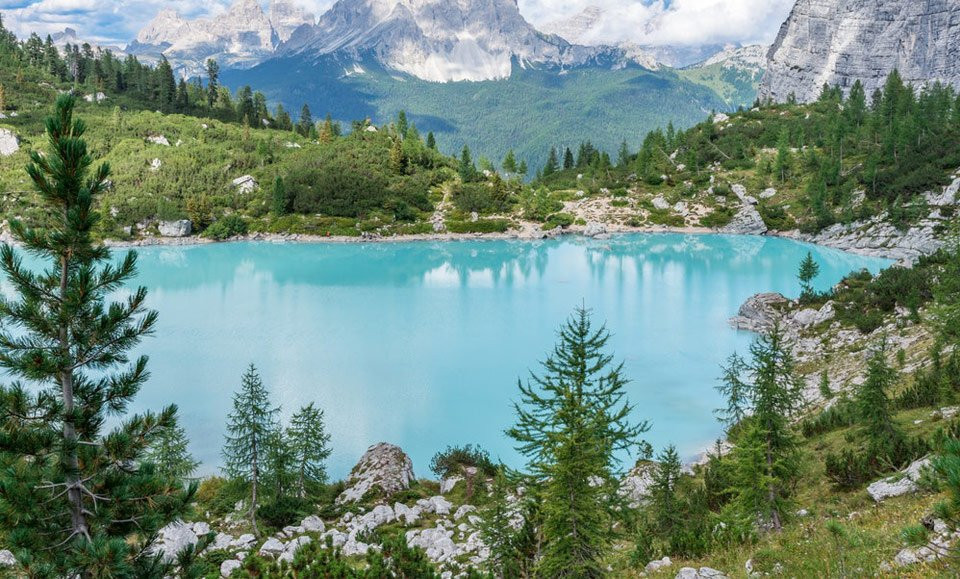 Trong khuôn viên dự án còn có khu hồ nước, khu vườn ươm, trồng trọt canh tác...