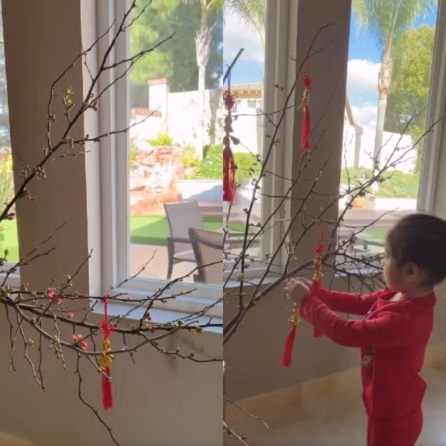 Nữ ca sĩ trang trí nhiều hoa mai, hoa đào trong biệt thự.