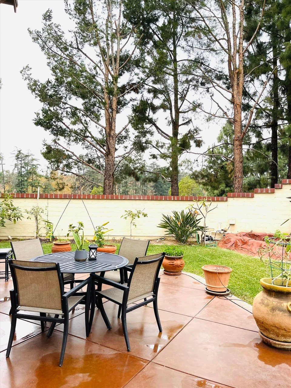 Khu vườn bên ngoài được thiết kế thành không gian thư giãn. Nguồn ảnh: FBNV