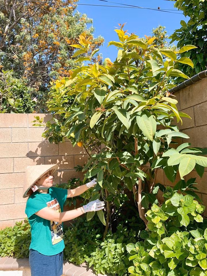 Những lúc rảnh rỗi, nữ ca sĩ "hoá thành nông dân" chăm sóc cho khu vườn.