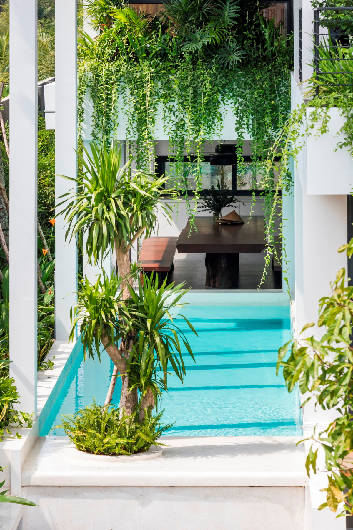 Tầng trệt của ngôi nhà phố được nâng cao lên như một quả đồi nhỏ, xung quanh được phủ bởi hệ thống cây xanh. Dọc theo chiều dài nhà là bể bơi có kích thước 4x16m.