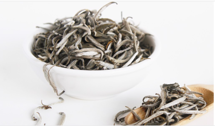 Còn bạch trà 300 - 500 tuổi giá khoảng 3,5 triệu đồng/kg. Cây từ 100-200 năm sẽ cho ra loại bạch trà giá 2,3 triệu đồng/kg. Ảnh: Hanhtra