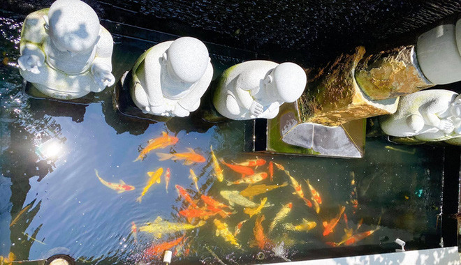 Trong khuôn viên nhà còn có hồ cá Koi bạc tỷ. Nguồn ảnh: FBNV