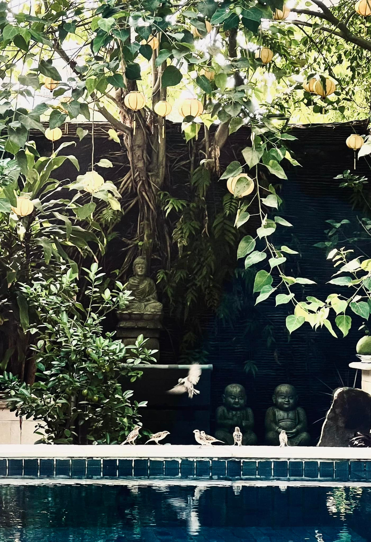 Góc vườn xanh mướt là không gian bình yên trong biệt thự của Shark Khoa.