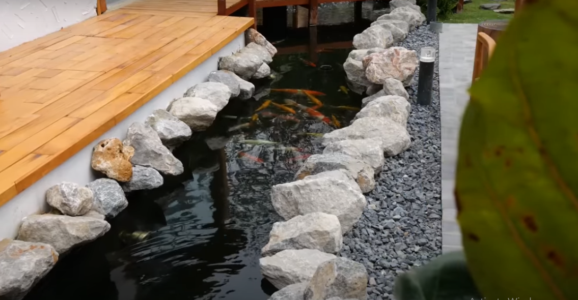 Thiết kế theo phong cách Nhật nên căn nhà không thể thiếu hồ cá Koi.