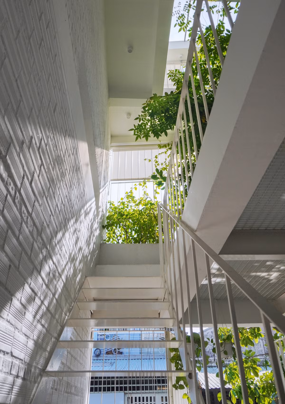 Các không gian đa năng chuyển tiếp và kết nối ánh sáng, cây xanh thông qua thủ pháp sàn lệch và sàn rỗng.