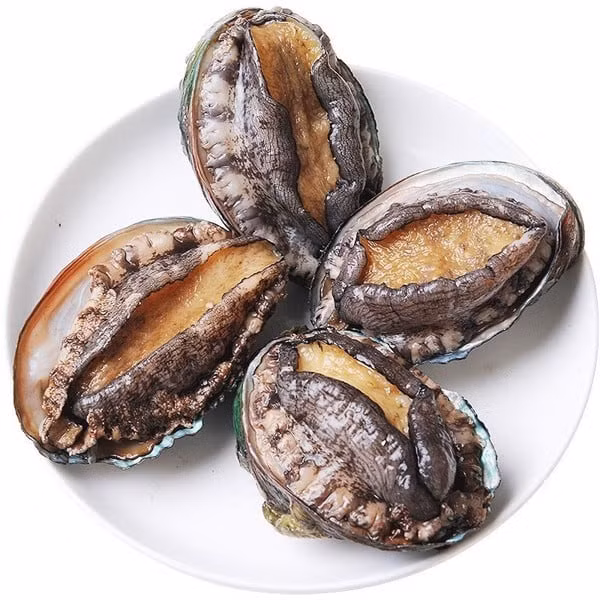  Bào ngư vốn là thực phẩm thuộc hàng xa xỉ, chỉ dành cho giới đại gia. Tại thị trường Việt, bào ngư tươi loại rẻ nhất cũng có giá 400.000 - 500.000 đồng/kg. Ảnh: Daohaisan