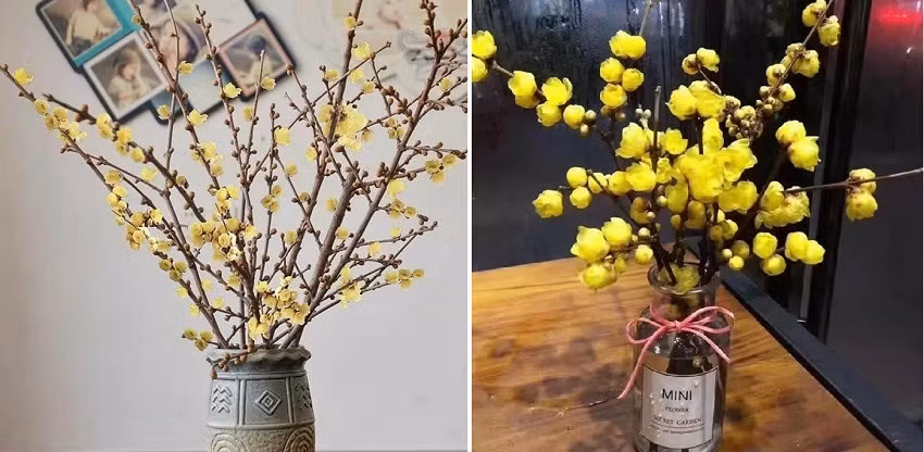 Một loại hoa độc lạ dịp Tết 2023 đó là hoa đào vàng xuất xứ từ Trung Quôc. Ảnh: Infonet