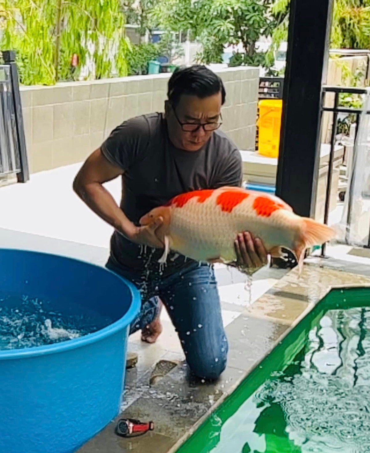 Trong đó, kinh phí đầu tư cơ sở vật chất khoảng gần 15 tỷ đồng và số cá koi trưng bày 30 tỷ đồng.