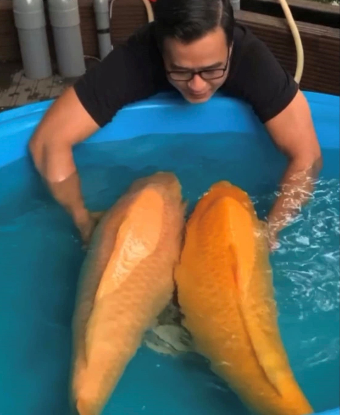 Nam doanh nhân hào hứng chia sẻ chú cá Koi dài 96 và 100 cm.