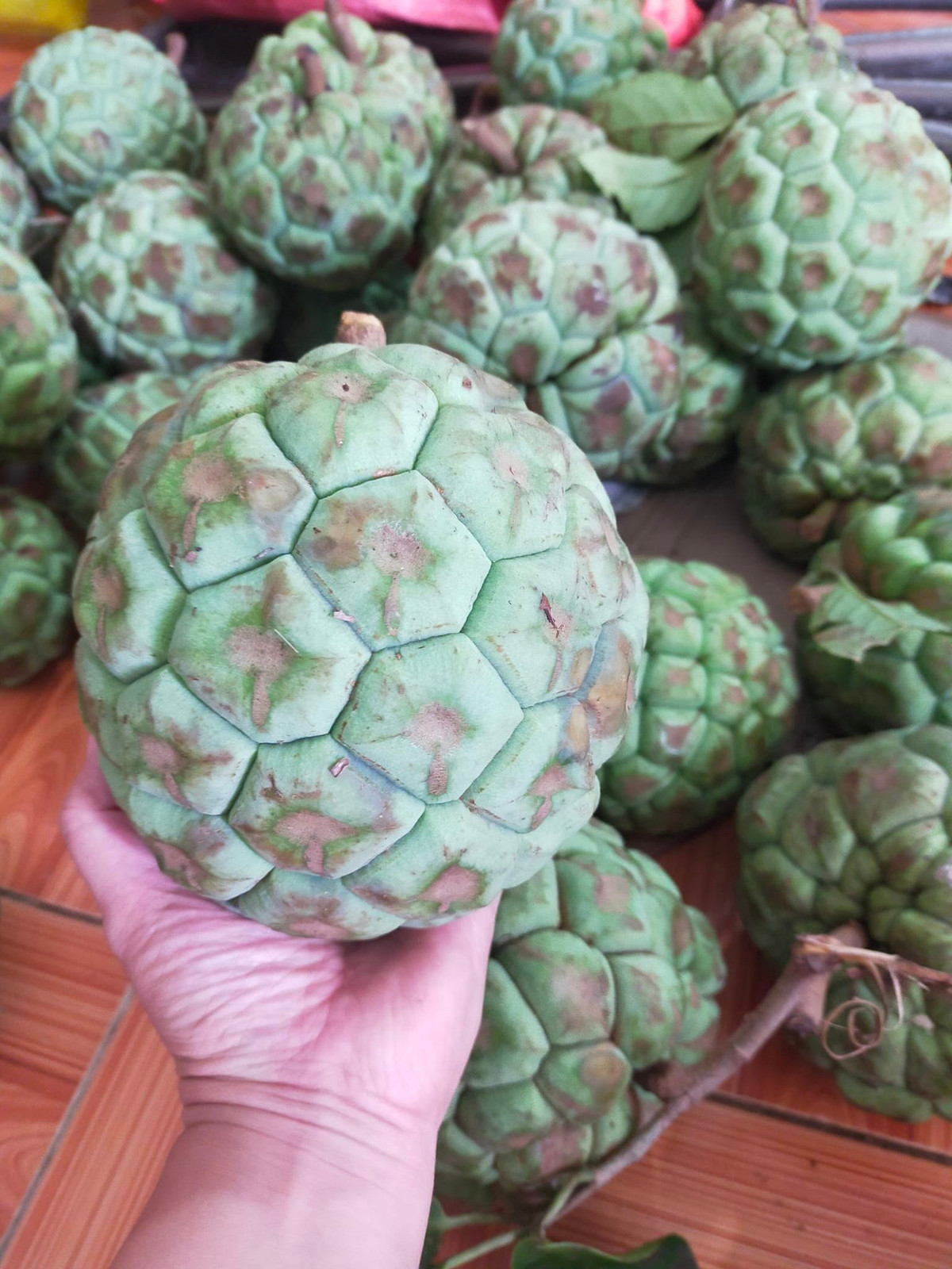 Đáng chú ý, loại na rừng khổng lồ nặng tới 3-4kg/quả giá lên đến 500.000 đồng/kg.