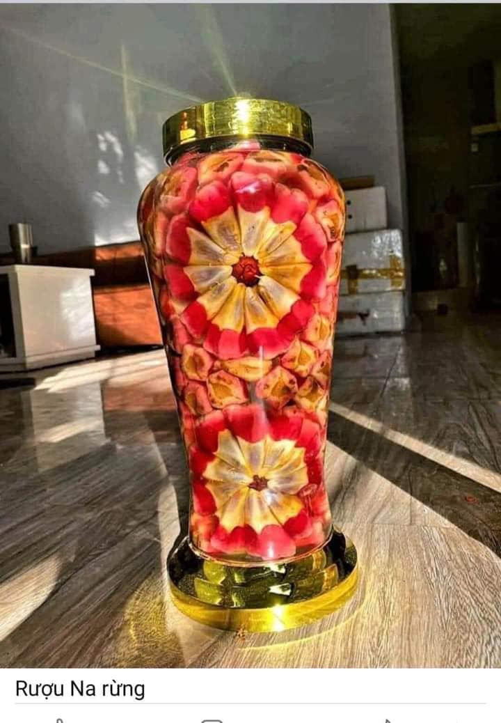 Na rừng ngâm rượu có thể trở thành bài thuốc bổ dương rất hiệu quả, mà người Mông hay gọi là rượu Tứn khửn – "thần dược phòng the". Nguồn ảnh: Facebook