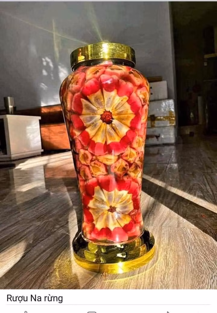 Na rừng ngâm rượu có thể trở thành bài thuốc bổ dương rất hiệu quả, mà người Mông hay gọi là rượu Tứn khửn – "thần dược phòng the". Nguồn ảnh: Facebook