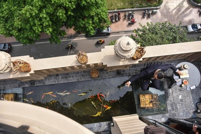 Không chỉ có thú sưu tầm chim quý, Chương Tailor còn sở hữu một trong những Hồ cá Koi giá trị nhất đất Việt. Bể cá gồm 25 chú cá Koi tổng giá trị khoảng 5 tỉ đồng, thuộc nhiều giống đa dạng như Kohaku, Hi Utsuri, Hariwake, Ginshiro... Ảnh: Internet