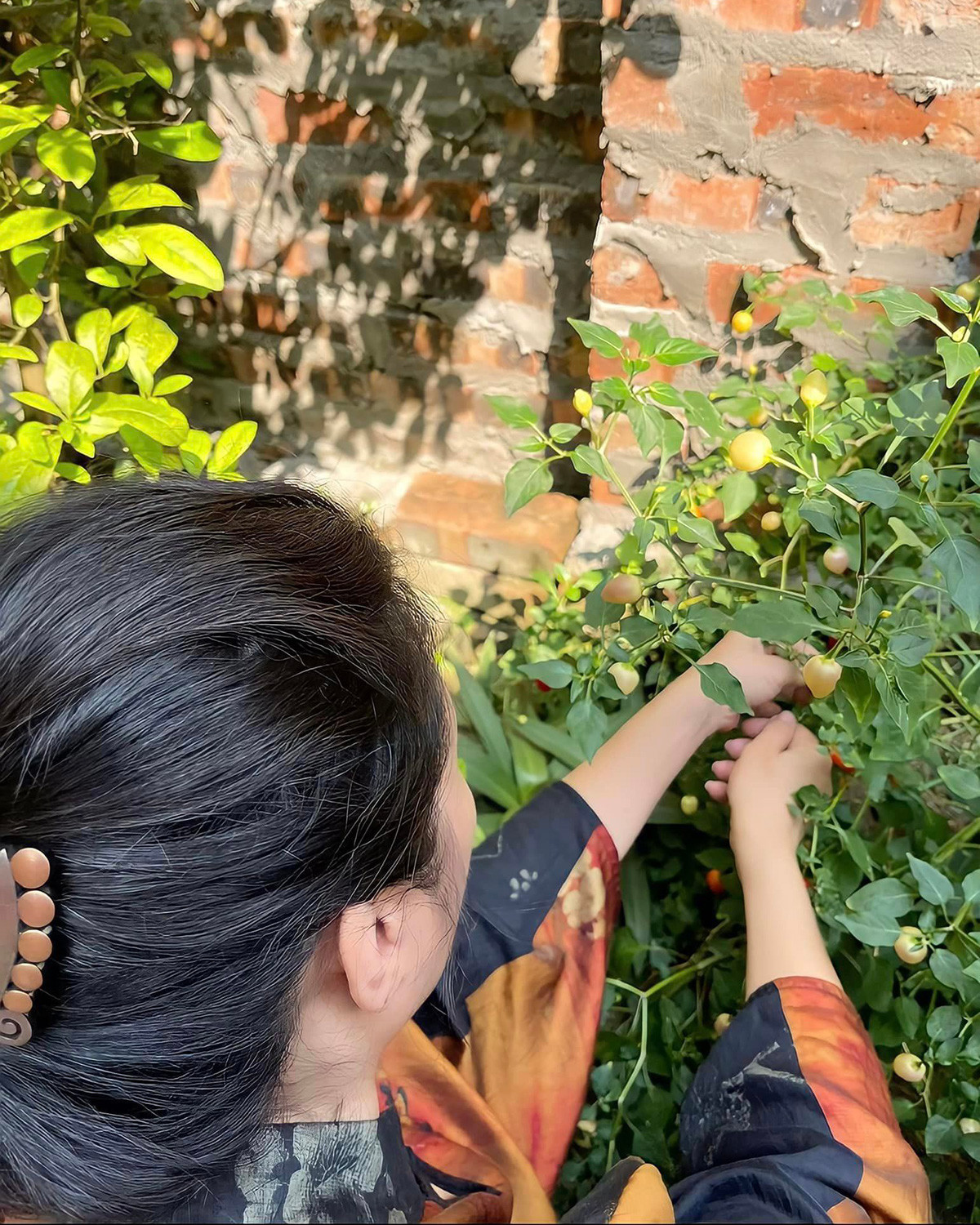 Những lúc rảnh rỗi, nữ nghệ sĩ lại tự tay chăm sóc khu vườn.