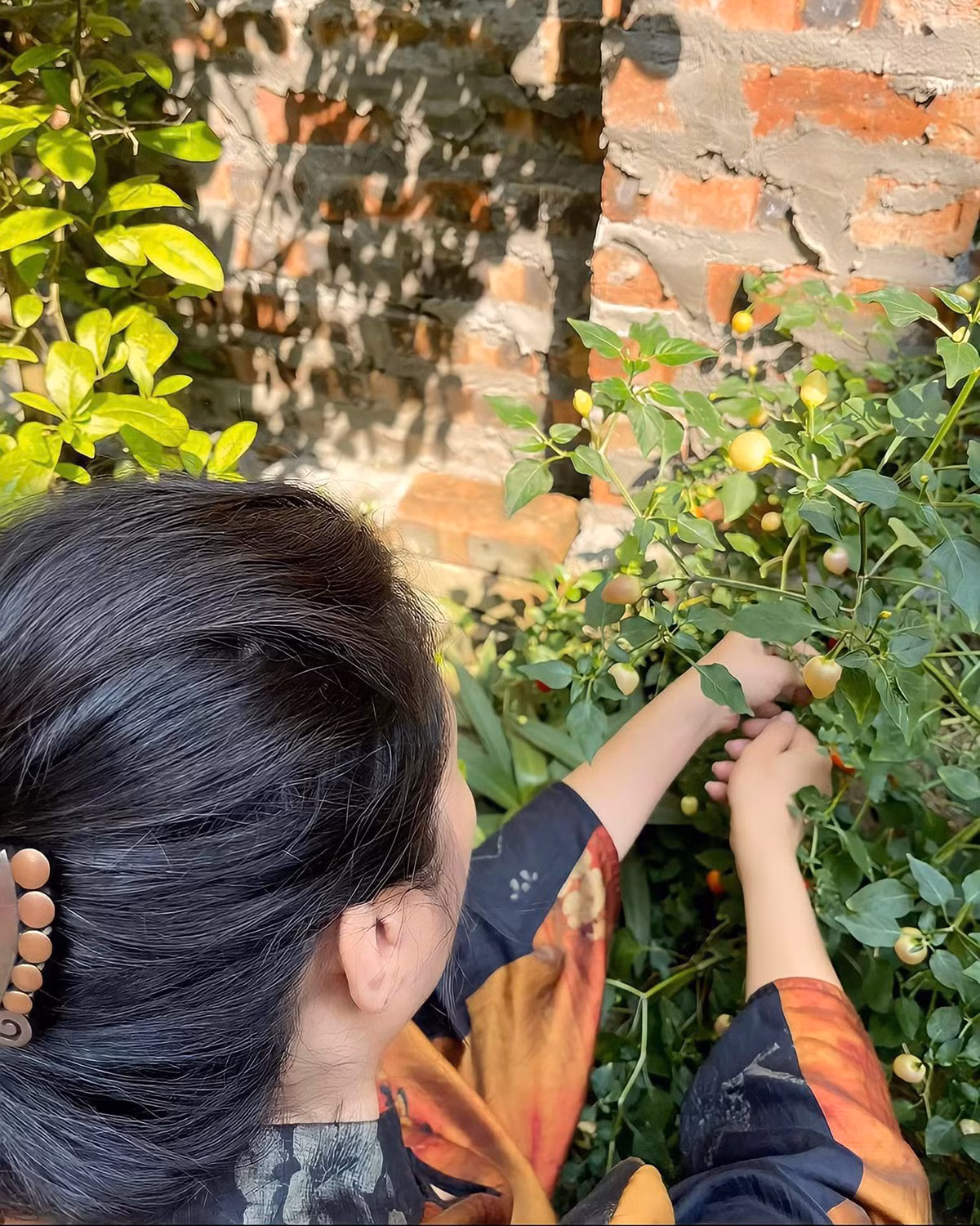 Những lúc rảnh rỗi, nữ nghệ sĩ lại tự tay chăm sóc khu vườn.