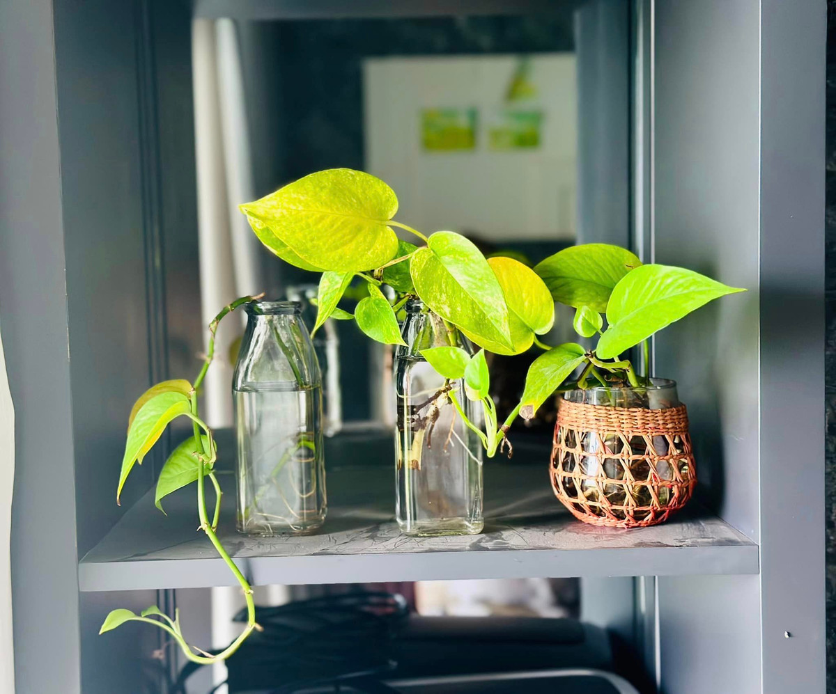 Cách bày trí của nam MC cũng đầy nghệ thuật.